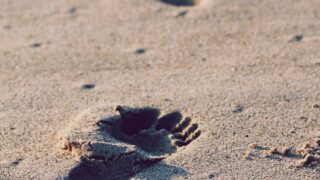 AnsibleでLinuxサーバー構成管理入門|playbookの書き方と実践的な自動化パターン