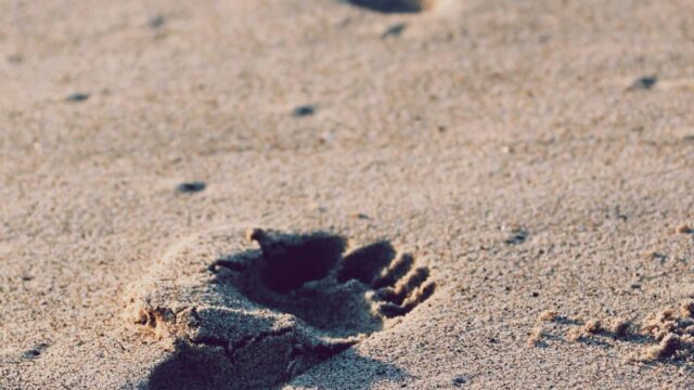 AnsibleでLinuxサーバー構成管理入門｜playbookの書き方と実践的な自動化パターン