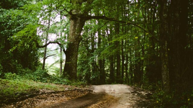 AWS CloudTrailとCloudWatch Logsの活用入門｜操作ログの取得・分析・アラート設定