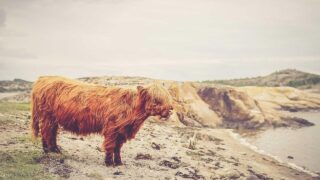 Amazon ECSでコンテナ運用入門｜Fargate・タスク定義・ALB連携の実践