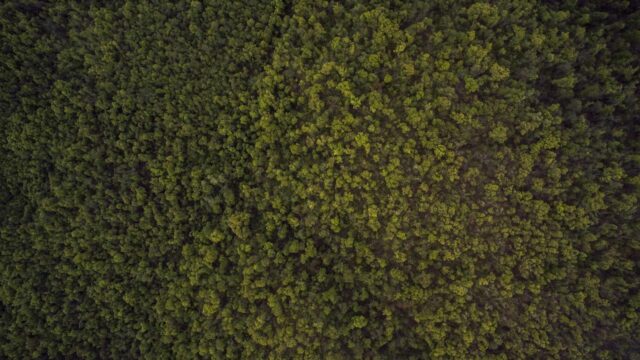 Amazon ElastiCache入門｜Redisを使ったキャッシュ設計の実践