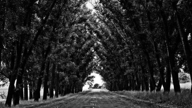 AWS SAA取得後にSAPを目指す際の難易度差と勉強法の違い