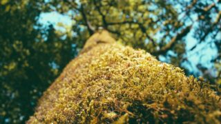 AWS Transit Gatewayによるマルチ VPCハブスポーク設計