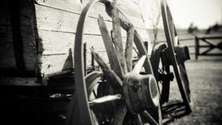 Dockerの仕組みと使い方入門|仮想マシンとの違いからコンテナ実践まで