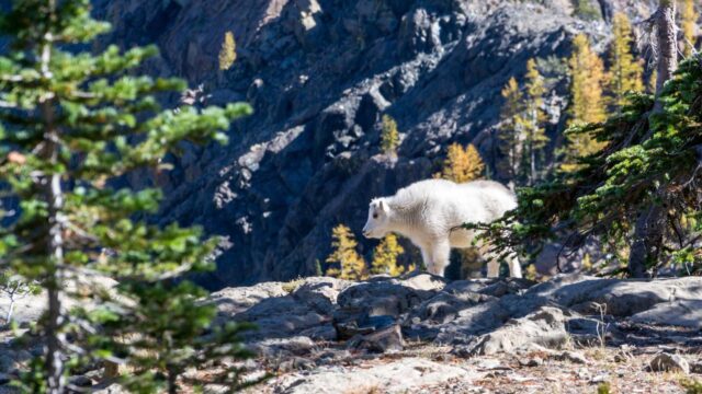 技術力を継続的に上げ続けるエンジニアのPDCAサイクル｜停滞を打破する自己成長システム