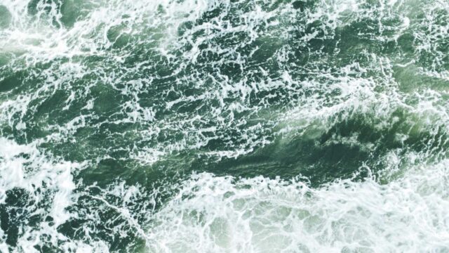 ITエンジニアの技術発信ブランディング術｜X・Zenn・GitHubで市場価値を高める