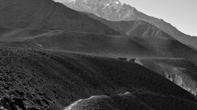 基本情報技術者試験完全合格ガイド｜科目A・科目Bの対策から効率的な学習法まで