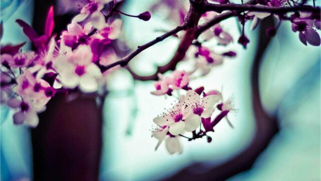 30代からインフラエンジニア転職