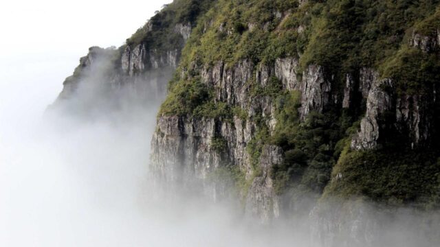 インフラエンジニアのフリーランス単価相場2026年版｜スキル別・職種別に解説