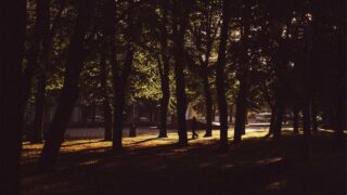 インフラエンジニアの転職エージェント活用法｜選び方と失敗しない使い方