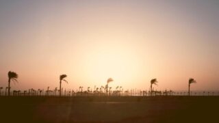 文系・理系どちらでもITエンジニアになれる理由|具体的な進め方を現役講師が解説