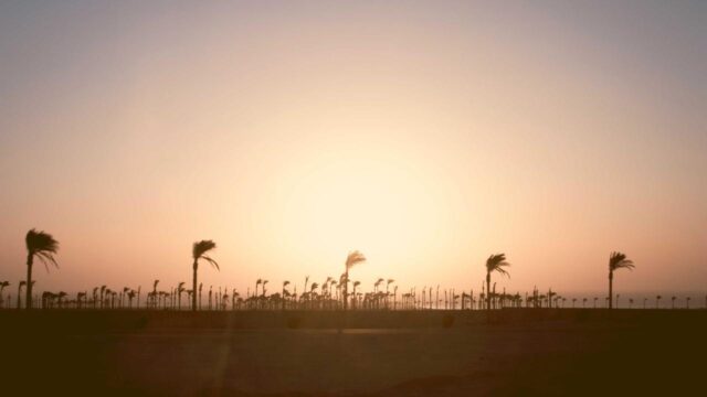 文系・理系どちらでもITエンジニアになれる理由|具体的な進め方を現役講師が解説