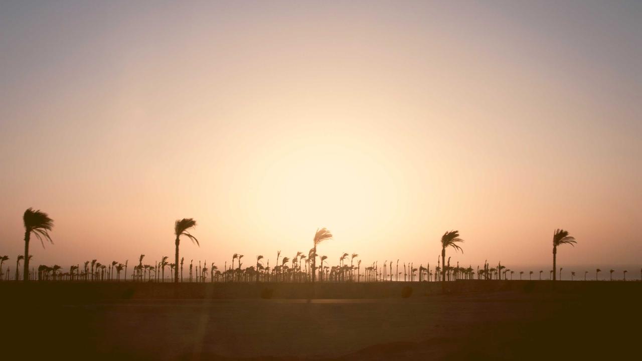 文系・理系どちらでもITエンジニアになれる理由|具体的な進め方を現役講師が解説