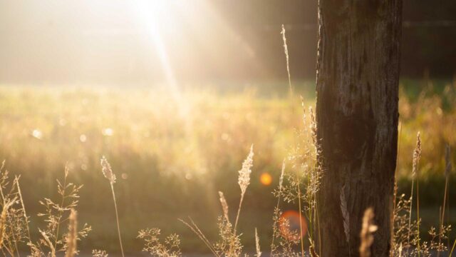 プログラミングとインフラ、どっちを学ぶべき?違いと向いている人を解説