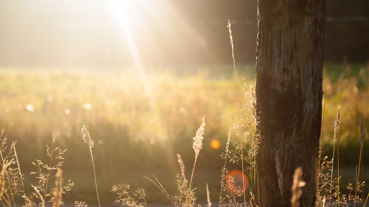 プログラミングとインフラ、どっちを学ぶべき?違いと向いている人を解説