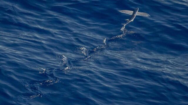 未経験からIT転職した人のリアルな失敗談と成功パターン｜後悔しないための準備