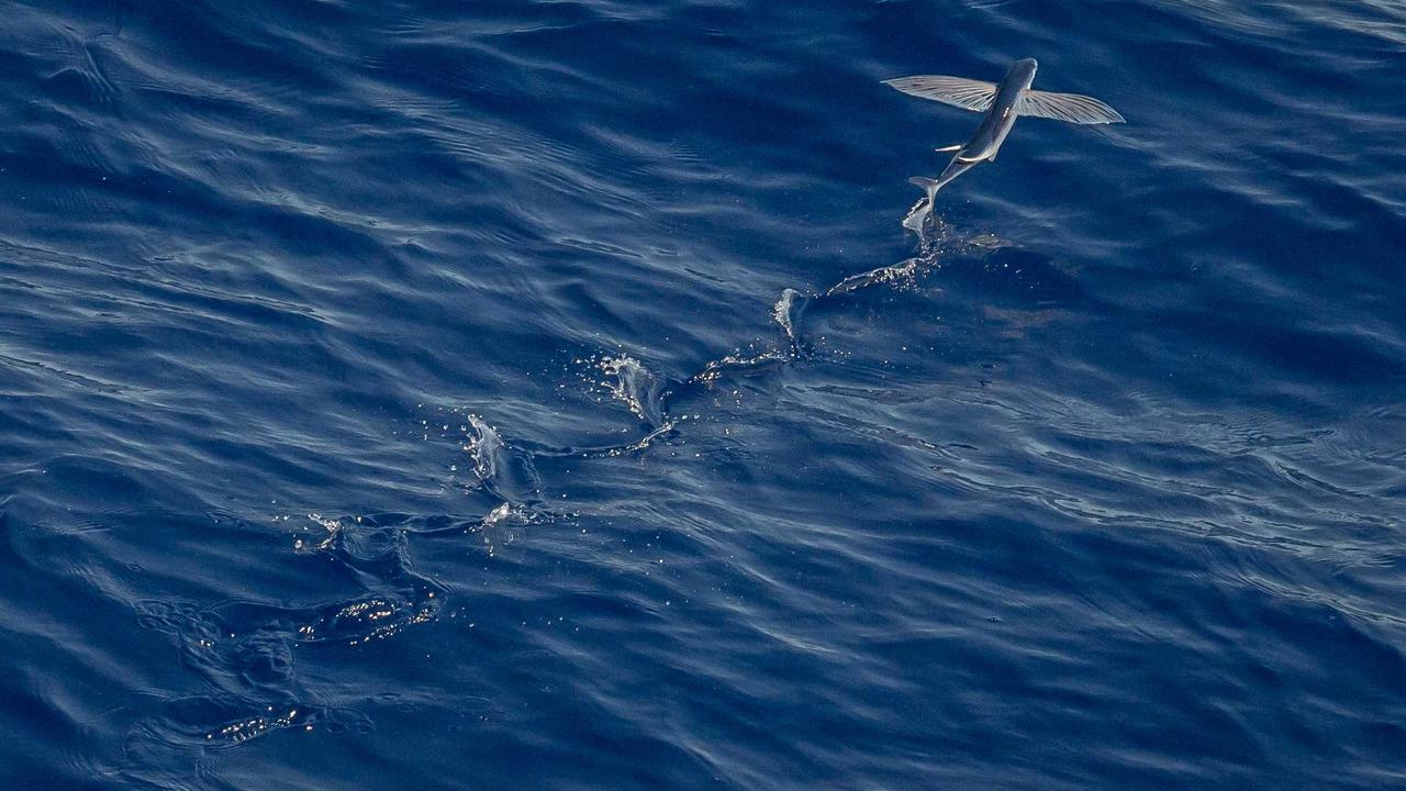 未経験からIT転職した人のリアルな失敗談と成功パターン｜後悔しないための準備