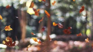 ITエンジニアの健康管理術｜デスクワーク・長時間作業から体を守る実践法