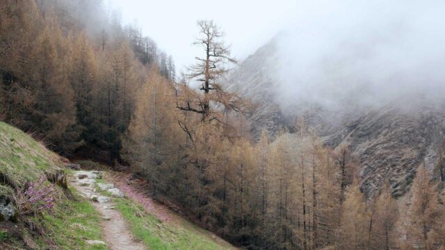 IT転職でよくある失敗パターン10選と対策｜後悔しない転職のためのチェックリスト