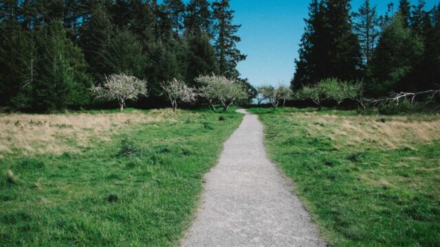 IT転職活動のスケジュール完全ガイド|3ヶ月で内定を取るためのロードマップ