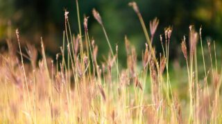 転職活動中の退職交渉の進め方｜現職への伝え方・引き継ぎのポイント