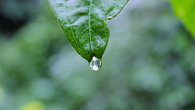 LinuC Level 2合格ガイド｜Level1の次に目指すLinux上級資格の攻略法