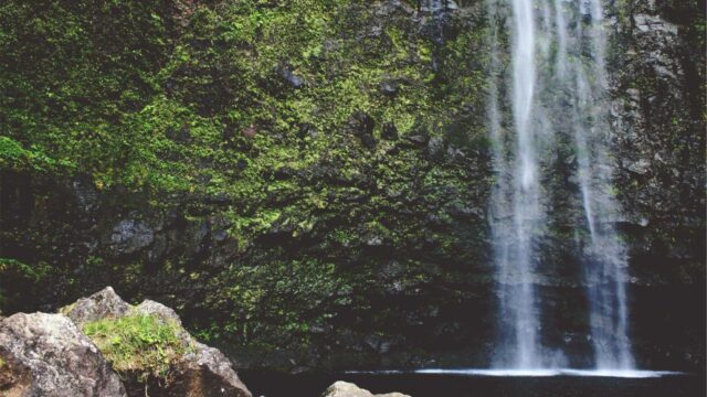 ログ管理の基礎｜rsyslog・journalctlの使い方とログ設計のポイント