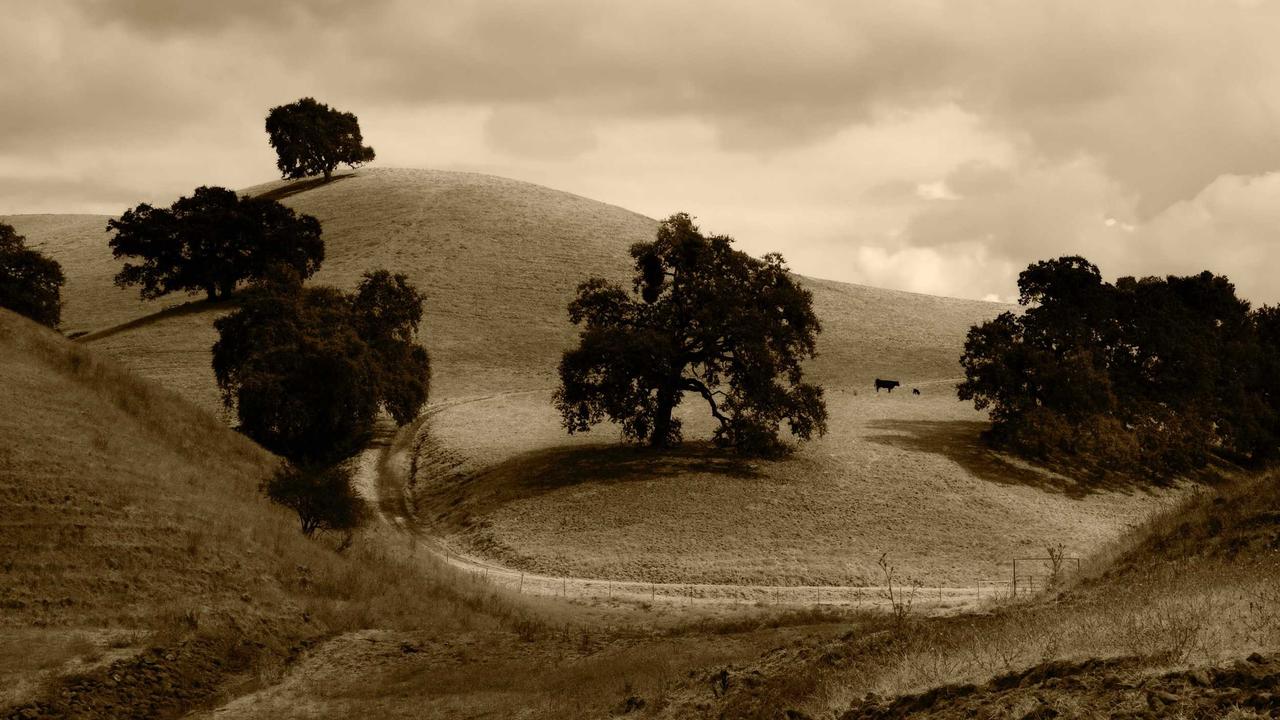 ネットワークエンジニアとサーバーエンジニアの違いを徹底比較|どちらを目指すべきか