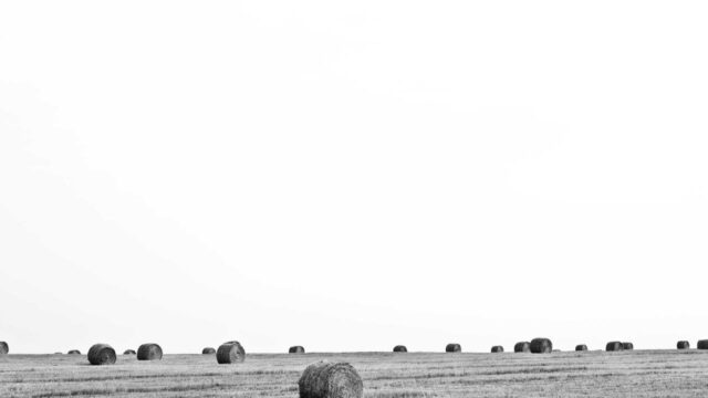 Nginxの設定入門｜WebサーバーをLinuxで構築する基礎ガイド