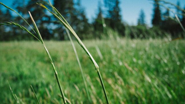 Oracle Java Bronze（SE）の取り方・勉強法｜インフラエンジニアもプログラミング入門