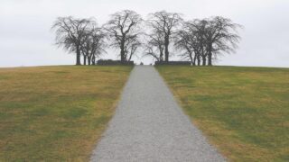 転職で年収交渉する方法|エンジニア向け実践ガイド・失敗しないための準備