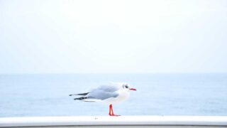 SSHの安全な設定方法|鍵認証・セキュリティ強化の実践ガイド