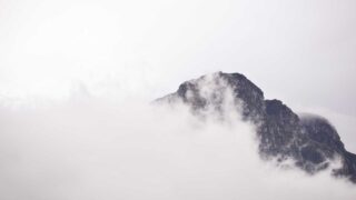 Wiresharkで学ぶパケット解析入門｜ネットワークトラブルを「見える化」する