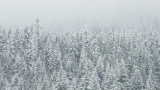 AWS未経験からクラウドエンジニアに転職できるか？現実的な準備と成功ロードマップ