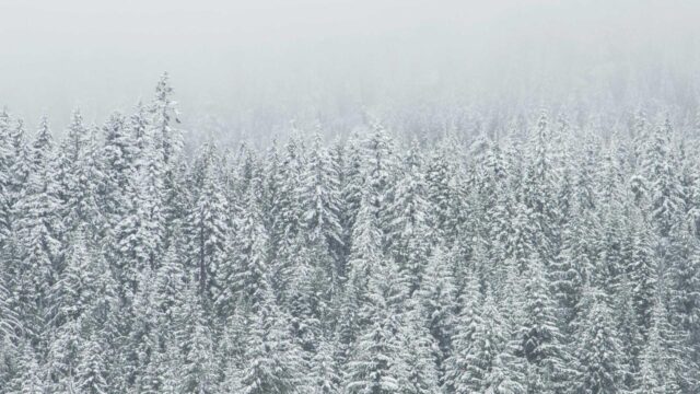 AWS未経験からクラウドエンジニアに転職できるか？現実的な準備と成功ロードマップ