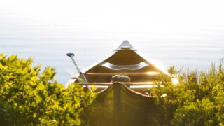 エンジニアとしての専門性の磨き方｜「この分野の人」として認知されるためのアウトプット戦略