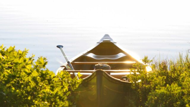 エンジニアとしての専門性の磨き方｜「この分野の人」として認知されるためのアウトプット戦略