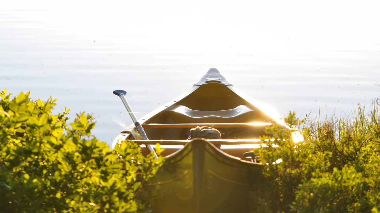 エンジニアとしての専門性の磨き方｜「この分野の人」として認知されるためのアウトプット戦略