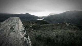 フィードバックを活かす力｜批判を成長の燃料に変えるためのマインドセットと実践