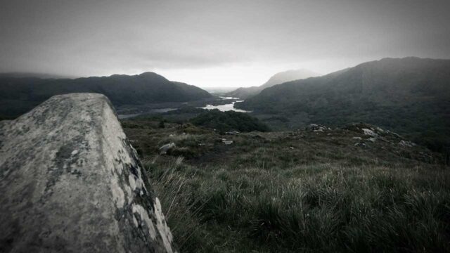 フィードバックを活かす力｜批判を成長の燃料に変えるためのマインドセットと実践