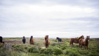 ITエンジニアが副業・複業で稼ぐ方法｜スキルを活かした副業の始め方と税務の基礎