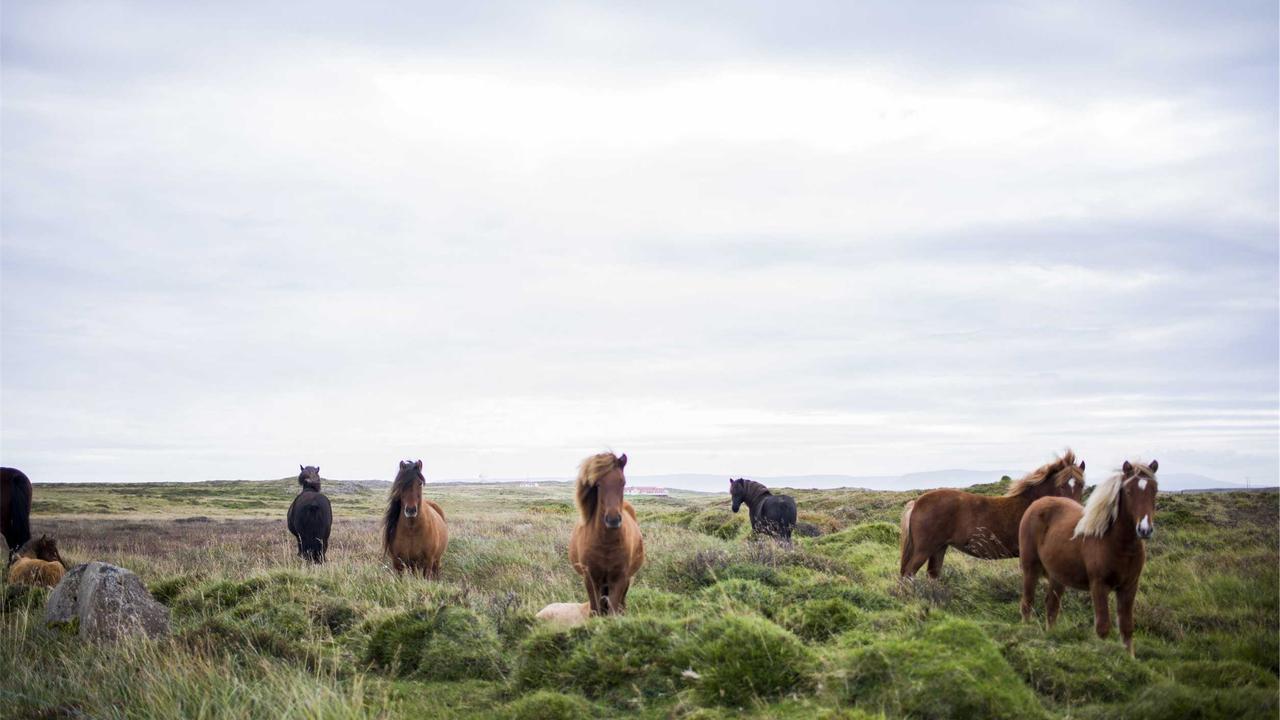ITエンジニアが副業・複業で稼ぐ方法｜スキルを活かした副業の始め方と税務の基礎