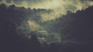 完璧主義を手放す技術｜アウトプットを止める「完璧主義」とどう向き合うか