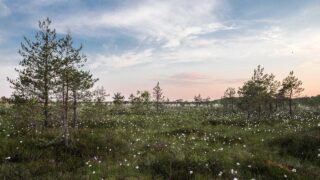 エンジニアのための時間管理術｜ポモドーロ・タイムブロッキング・深い仕事の実践